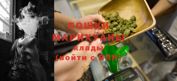 шишки Каменка