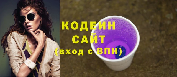 шишки Каменка