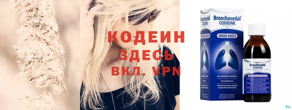 шишки Каменка