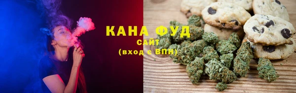шишки Каменка