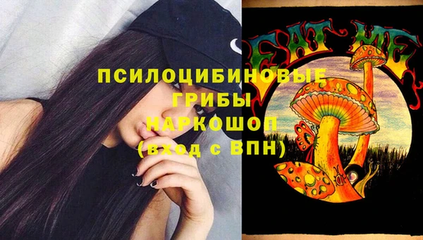 шишки Каменка