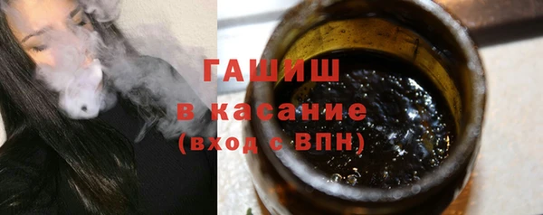 шишки Каменка