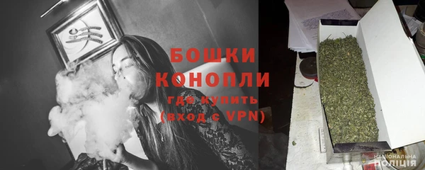 шишки Каменка