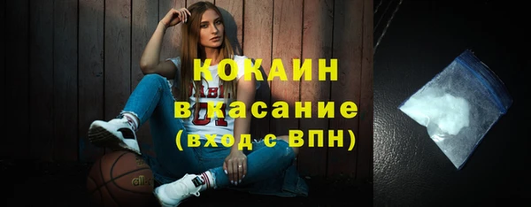 шишки Каменка