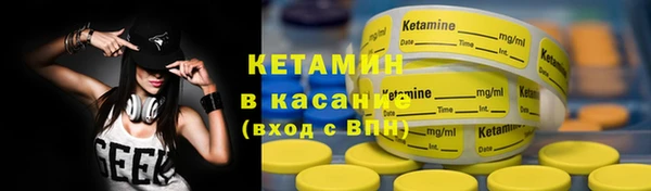 шишки Каменка
