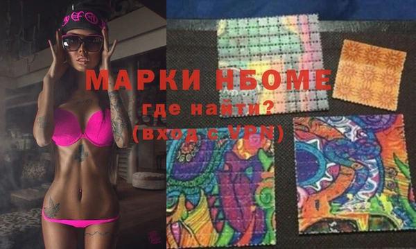 шишки Каменка