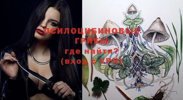 герыч Каменногорск