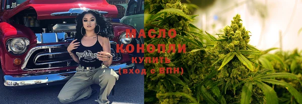 шишки Каменка