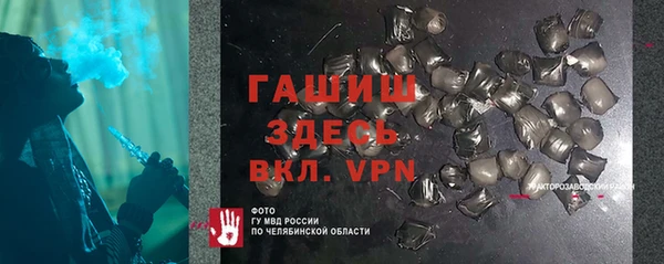 шишки Каменка